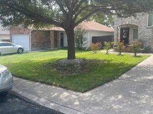 Steve G.'s Grass Cutting service result