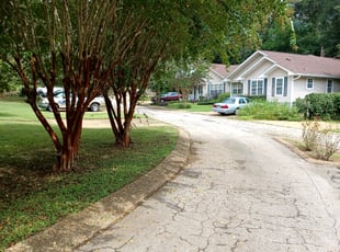 Bush Trimming by Dennis Hollis for Ryan C. in Tallahassee, FL