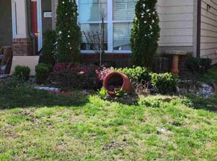 Bush Trimming by Willie P for Philippe L. in McDonough, GA