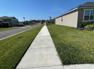Roderick C.'s Lawn Mowing service result