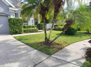 Kim K.'s Lawn Maintenance service result