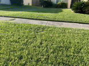 Marc S.'s Lawn Care service result