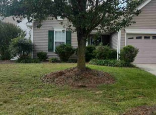 Melissa y.'s Lawn Mowing service result