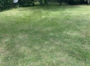 Dameon J.'s Lawn Service service result