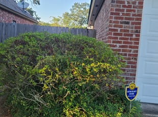 Bush Trimming by Joshua Hamilton for Yoon Ha L. in Baton Rouge, LA