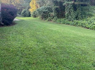 John S.'s Lawn Care service result