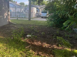 Leaf Removal by Marcus Hessey for Ryan W. in Mishawaka, IN