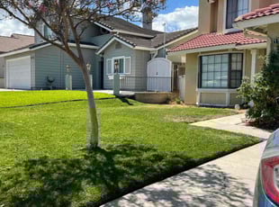 Ray G.'s Lawn Care service result