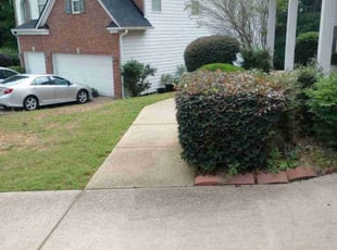 Bush Trimming by Montgomery Roberts for Monique E. in Woodstock, GA