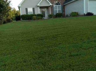 Audrey S.'s Lawn Service service result
