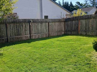 Ali l.'s Yard Cutting service result
