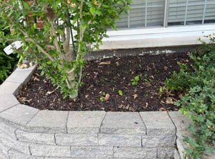 Leaf Removal by Sadarius Osborn for Cameron H. in Fenton, MO
