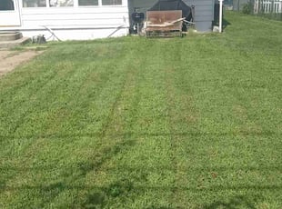 Thomas K.'s Yard Cutting service result