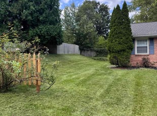 Nicole P.'s Lawn Care service result