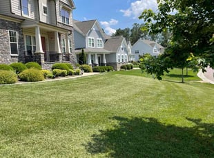 Linda S.'s Yard Cutting service result