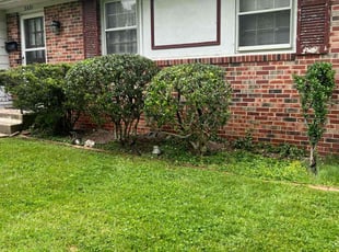 Bush Trimming by Saul Lara for Kaukab I. in Rockville, MD