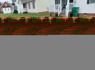 Geetha S.'s Grass Cutting service result