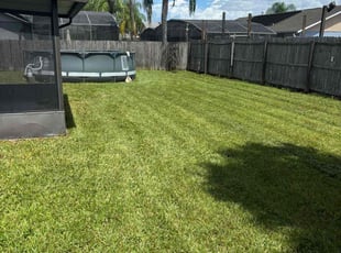 Rodolfo U.'s Lawn Mowing service result