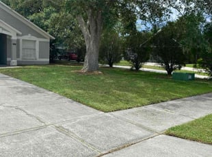 Bridget S.'s Lawn Care service result