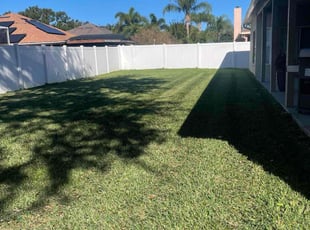Michelle A.'s Lawn Maintenance service result