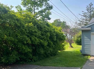 Bush Trimming by Demetrius Bennett Jr for Jewel W. in Highland Heights, OH
