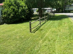 Carol R.'s Lawn Care service result