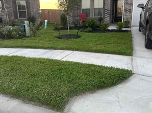 Sharon U.'s Lawn Mowing service result