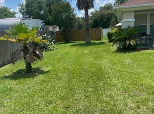 Bently B.'s Grass Cutting service result