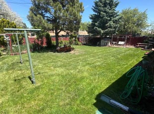 daniel f.'s Lawn Care service result