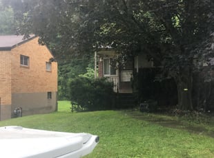 Bush Trimming by Michael Law for DUPLICATE - Patricia D. in Glenshaw, PA