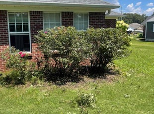 Bush Trimming by Robert Nichols for Dixie W. in Harvest, AL