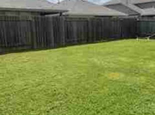 Amy G.'s Lawn Mowing service result