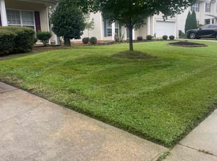 Dan M.'s Lawn Service service result