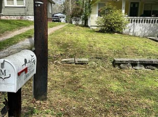 Evelyn T.'s Lawn Maintenance service result