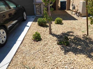 Bush Trimming by Lamont Johnson for Rudy D. in Las Vegas, NV
