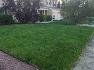 Tom H.'s Lawn Maintenance service result