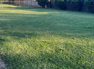 Diane C.'s Lawn Mowing service result