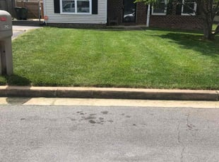 Laura A.'s Yard Cutting service result