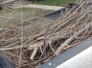 Cleanups by Gregory Lillibridge for Tammy E. in Denver, CO