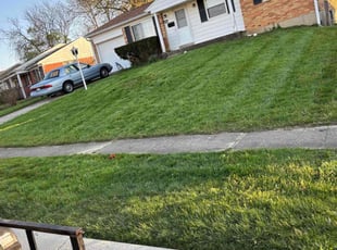 Terri G.'s Lawn Service service result