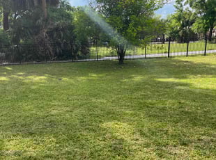 William & Carole C.'s Lawn Service service result