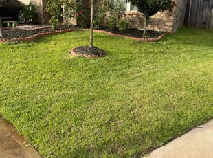 David S.'s Yard Cutting service result