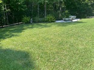 Guy P.'s Lawn Care service result