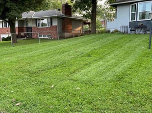Vanliencia B.'s Lawn Care service result