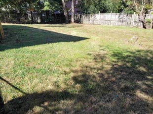 Leaf Removal by Irvin Yanez for Bowen W. in Douglasville, GA