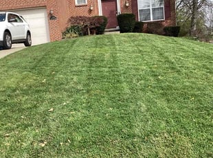 Sandra D.'s Lawn Mowing service result