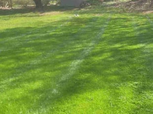 David S.'s Lawn Maintenance service result