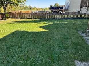 Crystal K.'s Yard Cutting service result