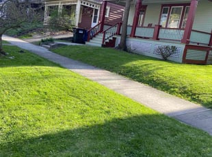 David S.'s Lawn Mowing service result