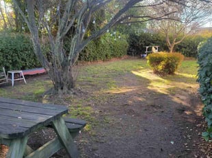Leaf Removal by Michelle Kramer for Kelsey J. in Norfolk, VA